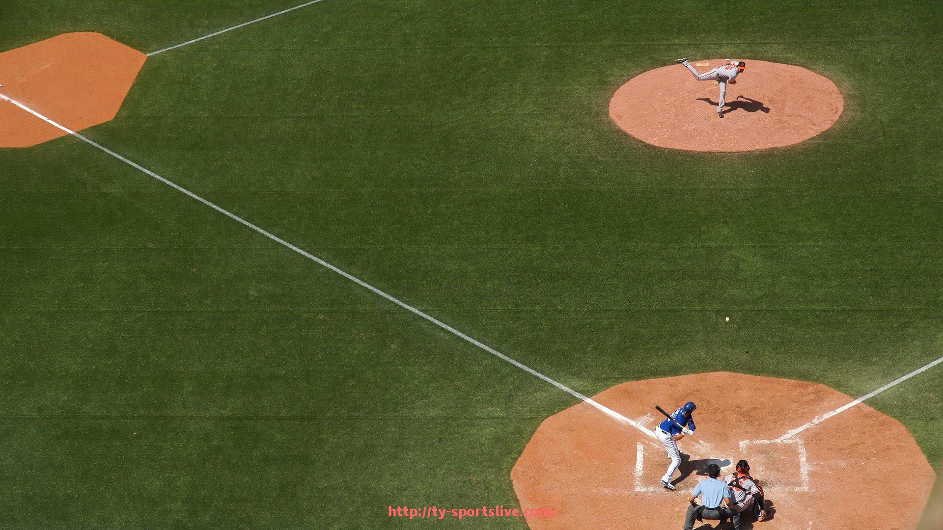 体育直播-中国健身器材销售数据年度报告摘要