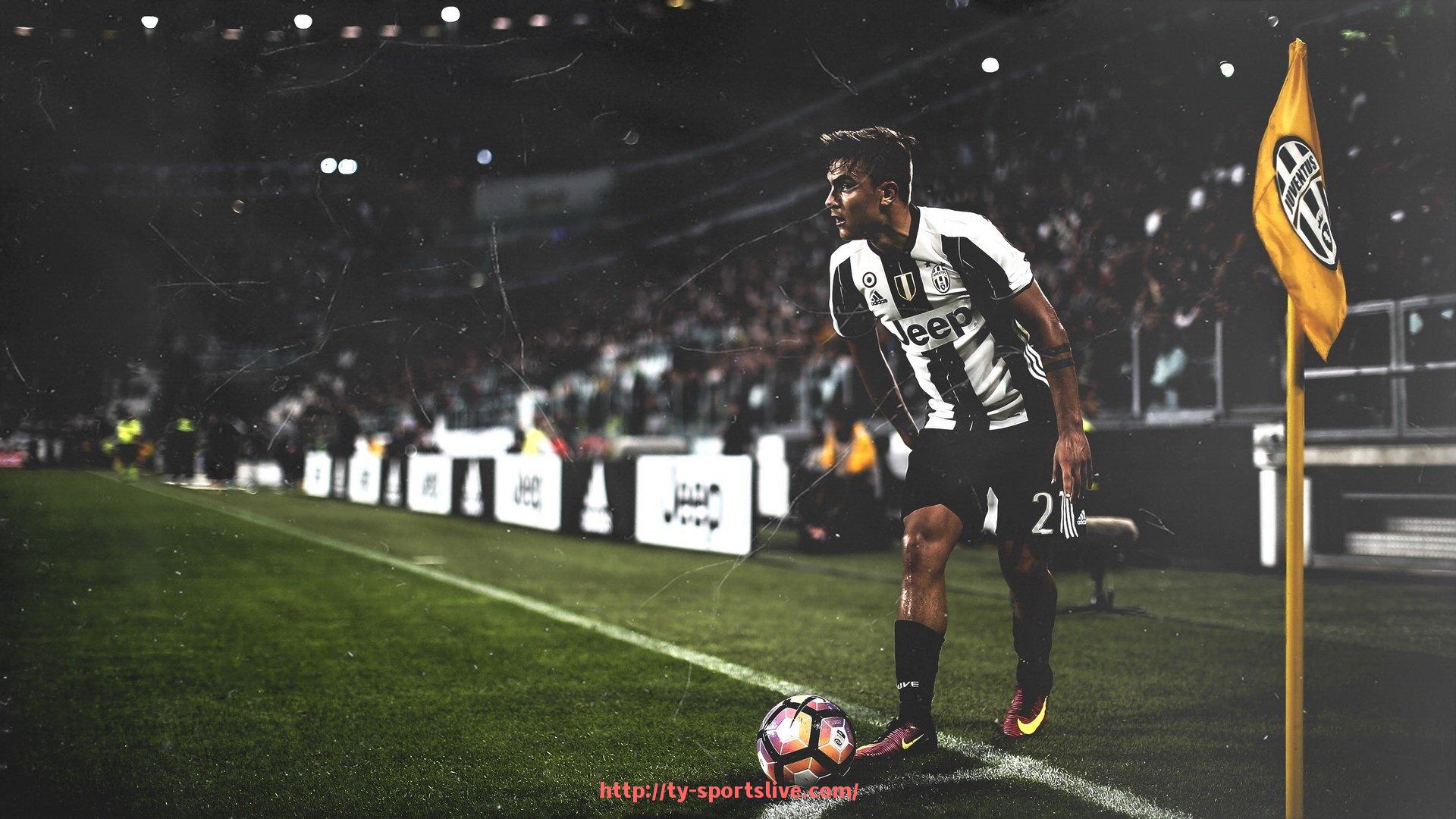 体育直播-健身器材设备分类与功能详解