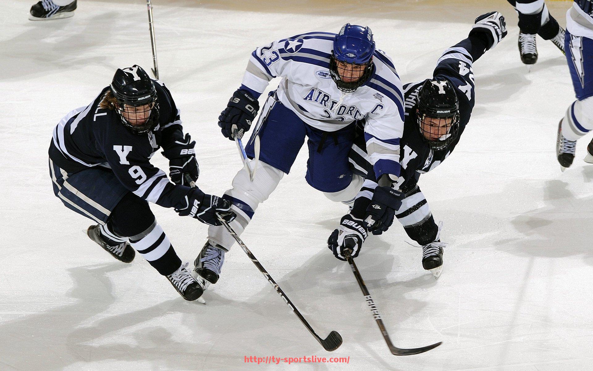 体育直播-苏伟效力的CBA球队简介及其场上表现